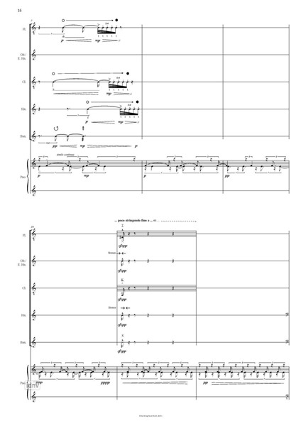 De Materia Subtilis et Complexa für Bläserquintett und Klavier (2014) De Materia Subtilis et Complexa für Bläserquintett und Klavier (2014)