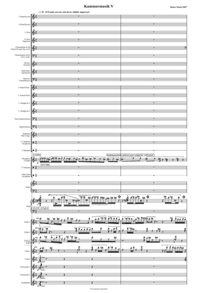 Kammermusik V für Ensemble (2007) Kammermusik V für Ensemble (2007)