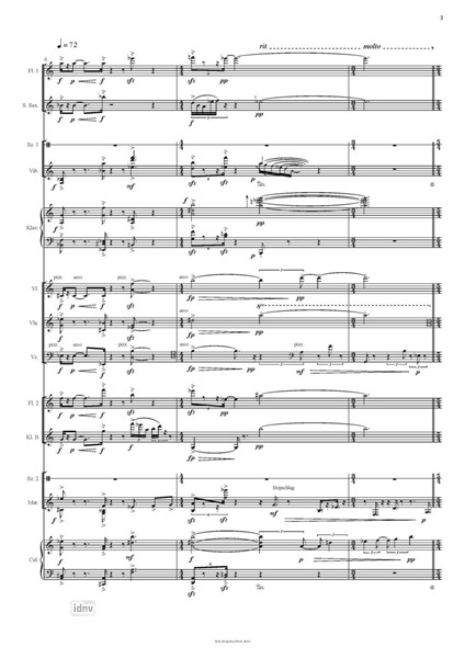 Noctuelles für 11 Instrumente (2016) Noctuelles für 11 Instrumente (2016)