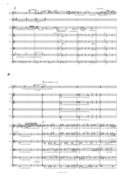 Janne für Orchester (2015) Janne für Orchester (2015)