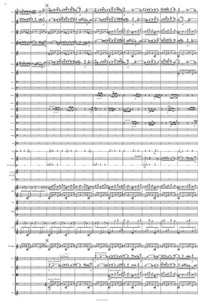 Sinfonie Nr. 2 / Concertante für Solo-Violine und Orchester (2018) Sinfonie Nr. 2 / Concertante für Solo-Violine und Orchester (2018)