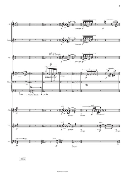 The double mingles of elements für Ensemble (2017/18) The double mingles of elements für Ensemble (2017/18)