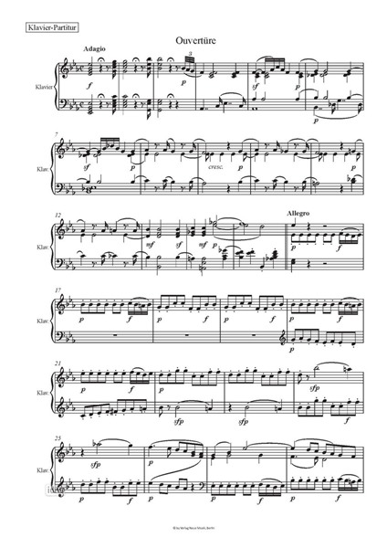Die Zauberflöte Musikalische Fassung und Textfassung für die Schule eingerichtet von Thomas Buchholz Die Zauberflöte Musikalische Fassung und Textfassung für die Schule eingerichtet von Thomas Buchholz
