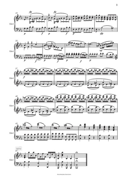 Die Zauberflöte Musikalische Fassung und Textfassung für die Schule eingerichtet von Thomas Buchholz Die Zauberflöte Musikalische Fassung und Textfassung für die Schule eingerichtet von Thomas Buchholz