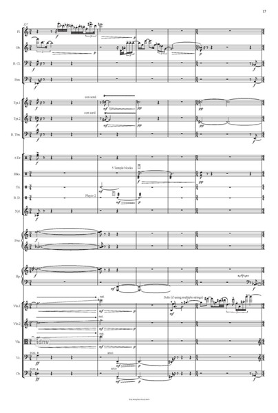 Spring Music für großes Ensemble oder kleines Kammerorchester Spring Music für großes Ensemble oder kleines Kammerorchester