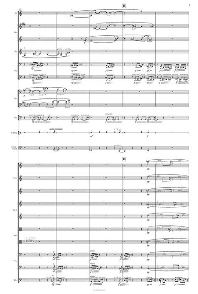 Wuhan Sinfonietta für Orchester Wuhan Sinfonietta für Orchester