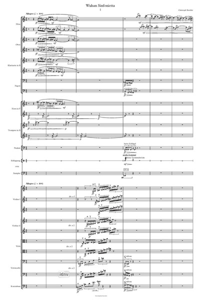 Wuhan Sinfonietta für Orchester Wuhan Sinfonietta für Orchester