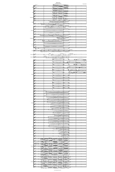 Silhouette Ouvertüre für Orchester (2018) Silhouette Ouvertüre für Orchester (2018)