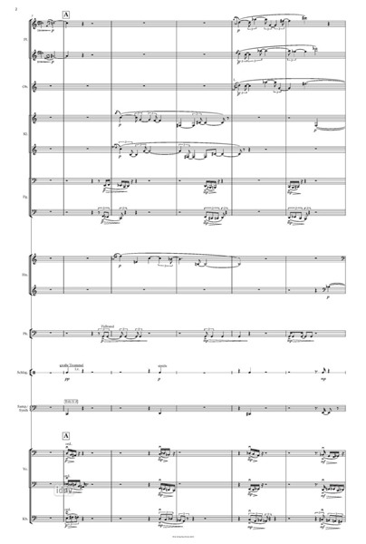 Wuhan Sinfonietta für Orchester Wuhan Sinfonietta für Orchester