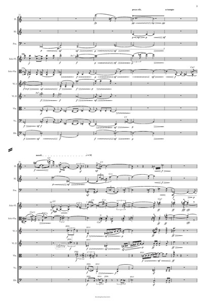 Dialoghi d‘amore II. 2. Abschrift für Solo-Violine, Solo-Viola und Ensemble (2020) Dialoghi d‘amore II. 2. Abschrift für Solo-Violine, Solo-Viola und Ensemble (2020)