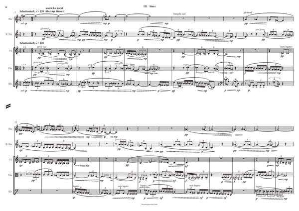 Riss – Schatten – Sturz für Horn, Bassetthorn, Violine, Viola und Kontrabass (2009, rev. 2020) Riss – Schatten – Sturz für Horn, Bassetthorn, Violine, Viola und Kontrabass (2009, rev. 2020)