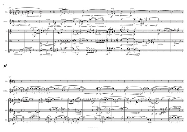 Riss – Schatten – Sturz für Horn, Bassetthorn, Violine, Viola und Kontrabass (2009, rev. 2020) Riss – Schatten – Sturz für Horn, Bassetthorn, Violine, Viola und Kontrabass (2009, rev. 2020)