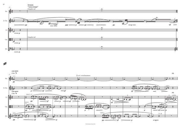 Riss – Schatten – Sturz für Horn, Bassetthorn, Violine, Viola und Kontrabass (2009, rev. 2020) Riss – Schatten – Sturz für Horn, Bassetthorn, Violine, Viola und Kontrabass (2009, rev. 2020)