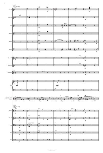My Alto Rhapsodies für Kontra-Alt und Orchester (2014) My Alto Rhapsodies für Kontra-Alt und Orchester (2014)