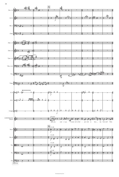 My Alto Rhapsodies für Kontra-Alt und Orchester (2014) My Alto Rhapsodies für Kontra-Alt und Orchester (2014)