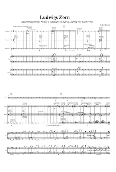 Ludwigs Zorn für großes Orchester (2020) Ludwigs Zorn für großes Orchester (2020)