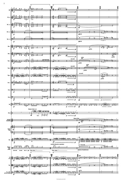 Sinfonie Nr. 5 / Wien für Bariton und Orchester (2022) Sinfonie Nr. 5 / Wien für Bariton und Orchester (2022)