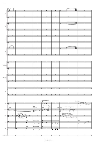 Massenprozession für großes Orchester und 8-Kanal-Zuspiel (2022) Massenprozession für großes Orchester und 8-Kanal-Zuspiel (2022)