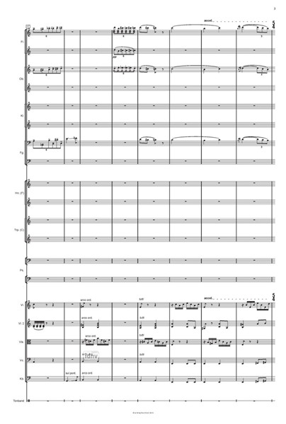 Massenprozession für großes Orchester und 8-Kanal-Zuspiel (2022) Massenprozession für großes Orchester und 8-Kanal-Zuspiel (2022)