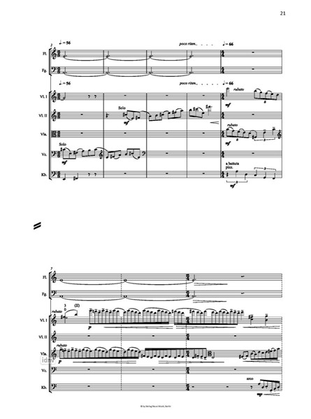 Die Salzprinzessin op. 149 für Kammerorchester und einen optionalen Erzähler (2021) Die Salzprinzessin op. 149 für Kammerorchester und einen optionalen Erzähler (2021)