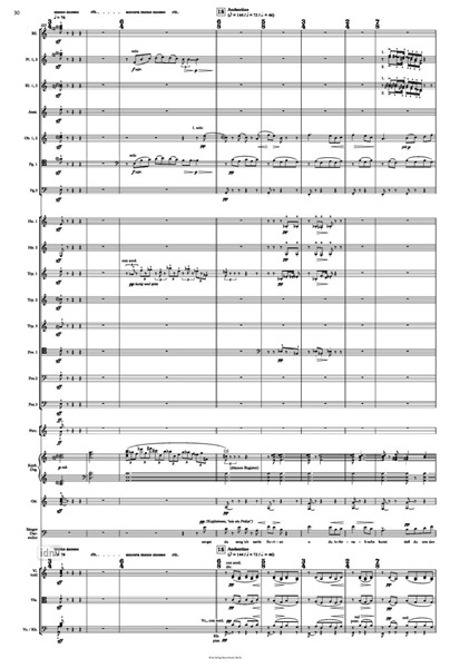 Sinfonie Nr. 5 / Wien für Bariton und Orchester (2022) Sinfonie Nr. 5 / Wien für Bariton und Orchester (2022)