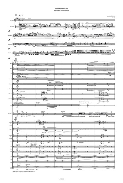 words with letters lost Konzert für Violine und kleines Orchester (2023/24) words with letters lost Konzert für Violine und kleines Orchester (2023/24)