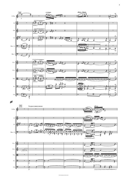nocturne blanche für Viola und Orchester nocturne blanche für Viola und Orchester