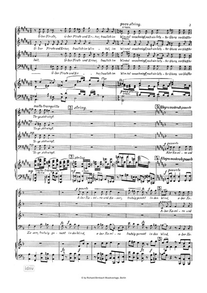 Der steinerne Psalm für gemischten Chor, Orgel und Orchester Der steinerne Psalm für gemischten Chor, Orgel und Orchester