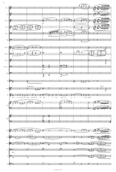 Weihnachtslieder op. 8 bearbeitet für Singstimme (tief) mit Orchesterbegleitung (2023/2024) Weihnachtslieder op. 8 bearbeitet für Singstimme (tief) mit Orchesterbegleitung (2023/2024)