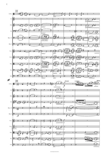 nocturne blanche für Viola und Orchester nocturne blanche für Viola und Orchester