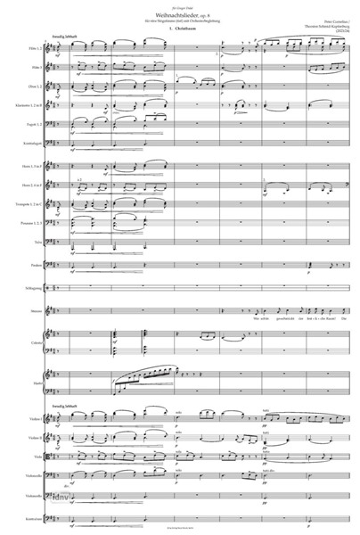 Weihnachtslieder op. 8 bearbeitet für Singstimme (tief) mit Orchesterbegleitung (2023/2024) Weihnachtslieder op. 8 bearbeitet für Singstimme (tief) mit Orchesterbegleitung (2023/2024)